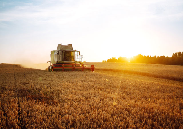 Asset farm insurance